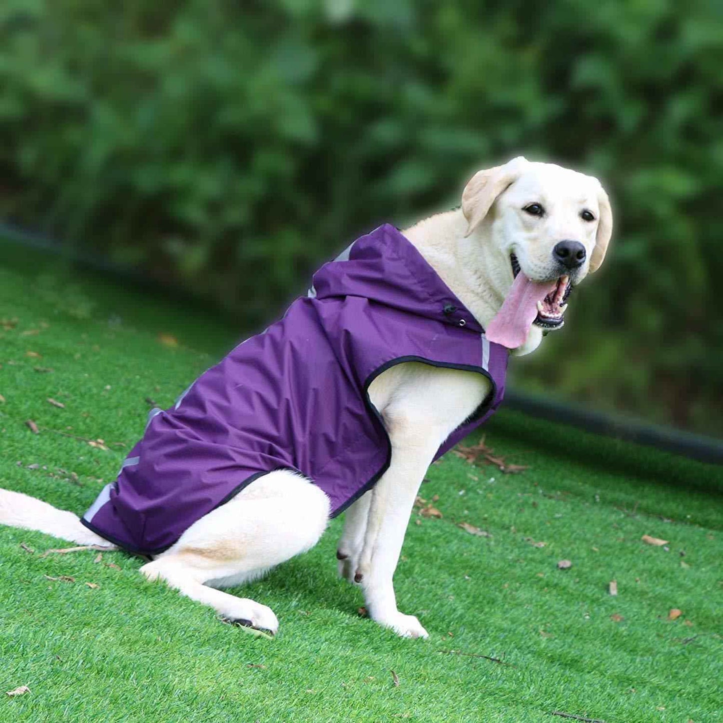 Waterproof Pet Raincoat: Easy On/Off, Available in Vibrant Colors - Killer Products