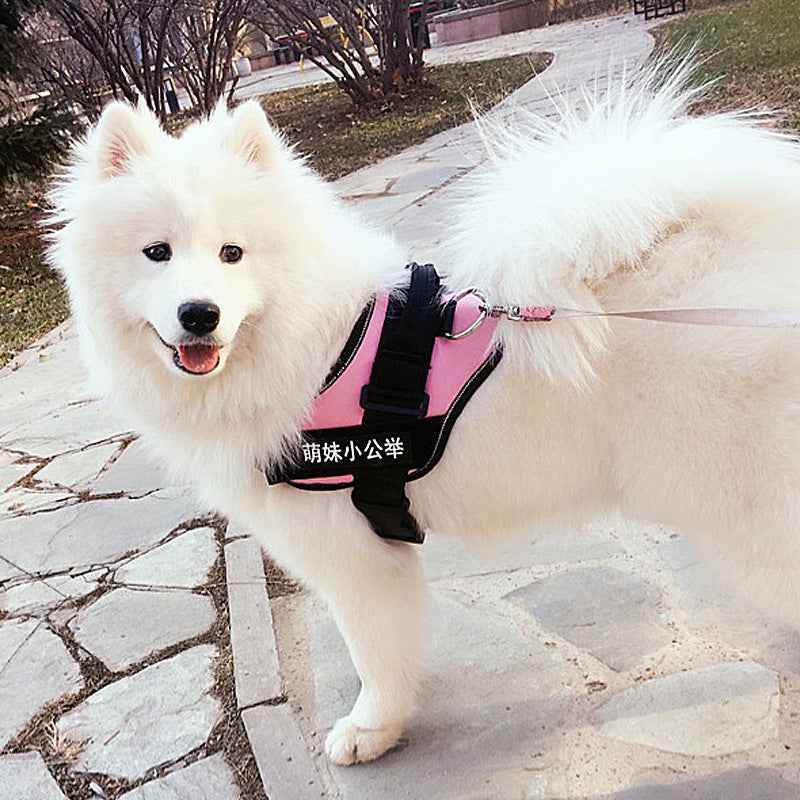 Fashion Simple Pet Leash Chest Strap Set: Stylish & Secure - Killer Products
