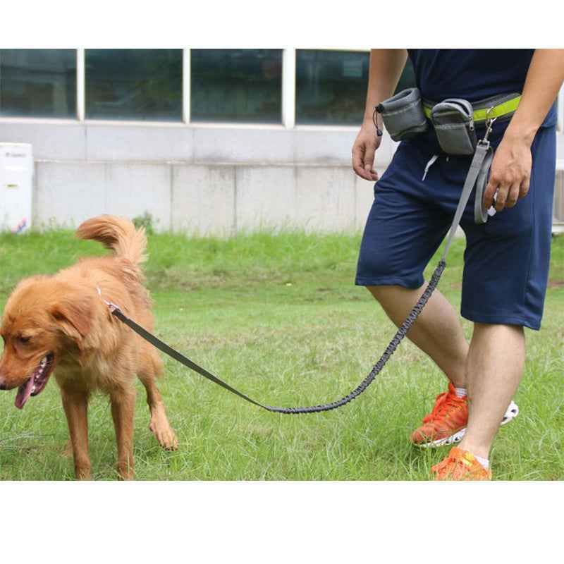 Adjustable Hands Free Dog Leash with Waist Bag and Pouch - Killer Products