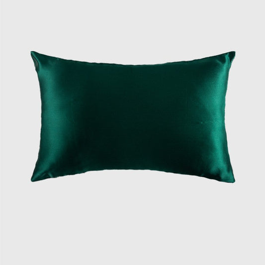 Luxurious Double-Sided Silk Zipper Pillowcase 19 Mommes Comfort - Killer Products