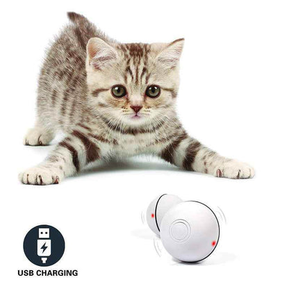 Whirling LED Laser Electronic Rolling Pet Funny Cat Toy Ball - Killer Products
