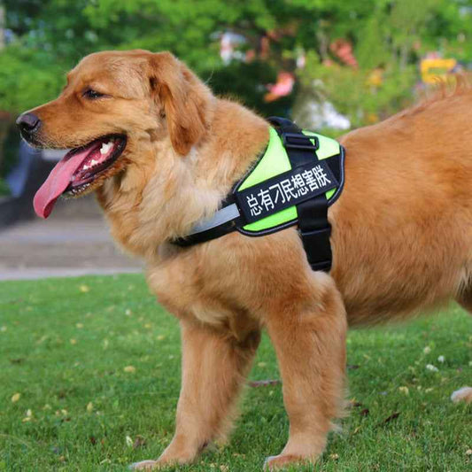 Fashion Simple Pet Leash Chest Strap Set: Stylish & Secure - Killer Products