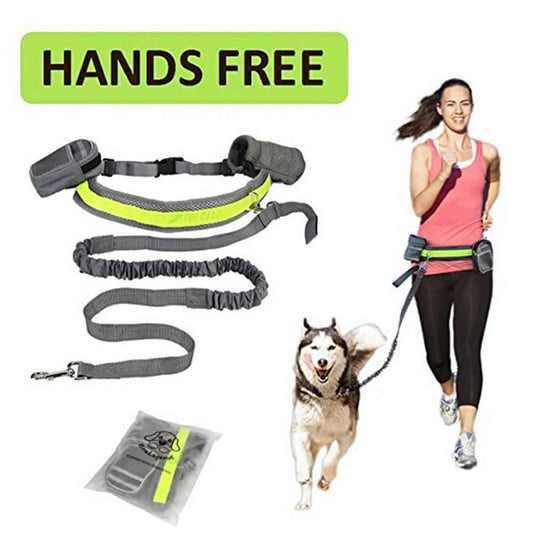 Adjustable Hands Free Dog Leash with Waist Bag and Pouch - Killer Products