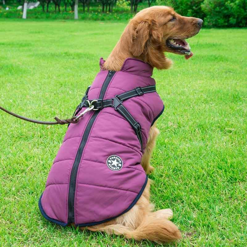 Warm Hooded Pet Dog Clothes for Small Dogs Winter Jackets - Killer Products