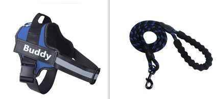 Fashion Simple Pet Leash Chest Strap Set: Stylish & Secure - Killer Products