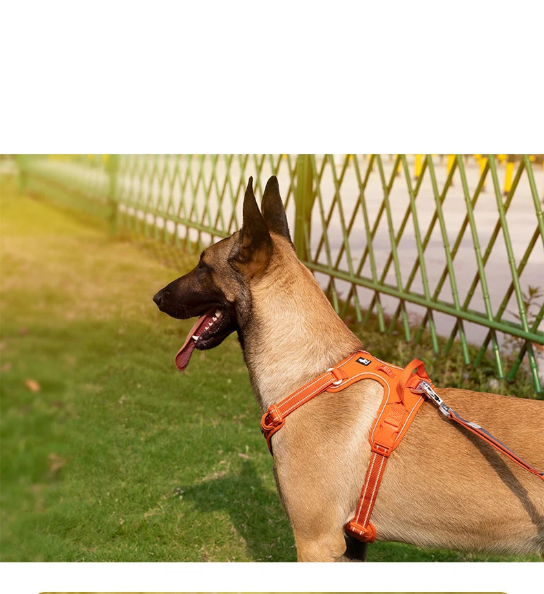 TrueLove No-Pull Reflective Dog Harness – Adjustable & Comfortable Control
