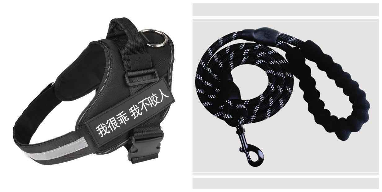 Fashion Simple Pet Leash Chest Strap Set: Stylish & Secure - Killer Products