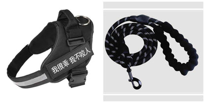 Fashion Simple Pet Leash Chest Strap Set: Stylish & Secure - Killer Products