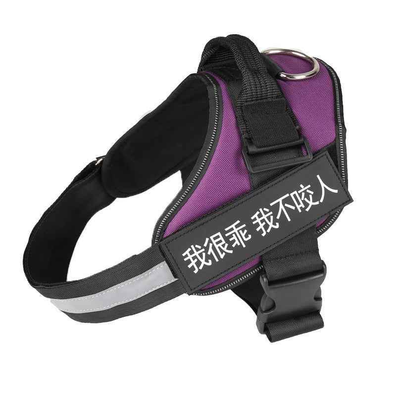 Fashion Simple Pet Leash Chest Strap Set: Stylish & Secure - Killer Products