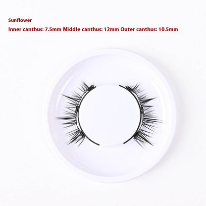 Magnetic Glue-free Eyelashes: Natural, Long-lasting Simulation Collection - Killer Products